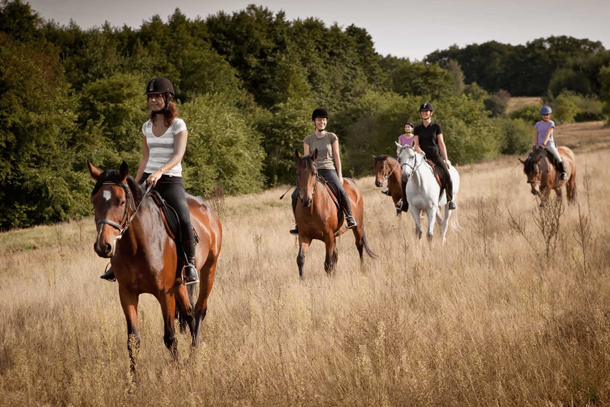 На русском ride a horse. Каппадокия Конная прогулка. Прогулка на лошадях. Покататься на лошадях. Катание на лошадях баннер.